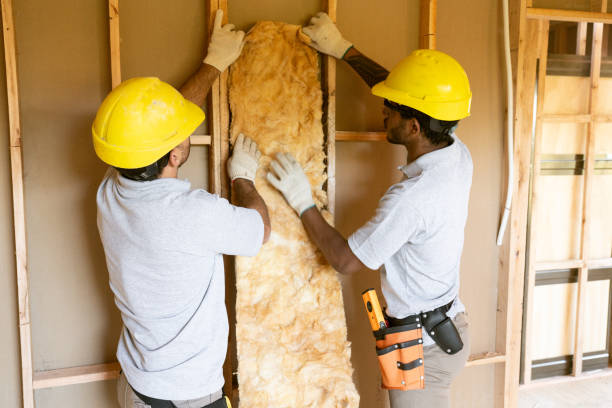 Best Insulation Air Sealing  in Rogers City, MI